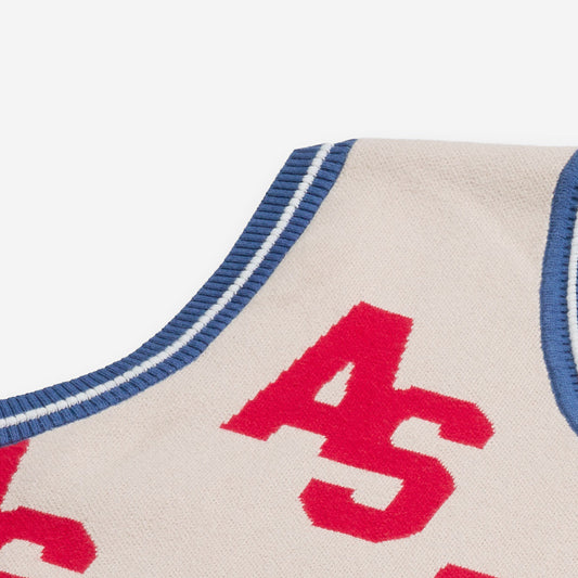 AlphaStyle Penn Sweater Vest in Bone – Detailaufnahme des V-Ausschnitts mit blau-weißem Rippstrick