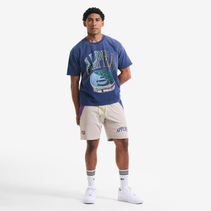 AlphaStyle Bruno Training Shorts in Light Grey – Ganzkörperaufnahme am Model, kombiniert mit blauem Print-T-Shirt
